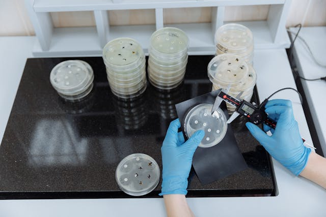 Quality Control measurement in laboratory